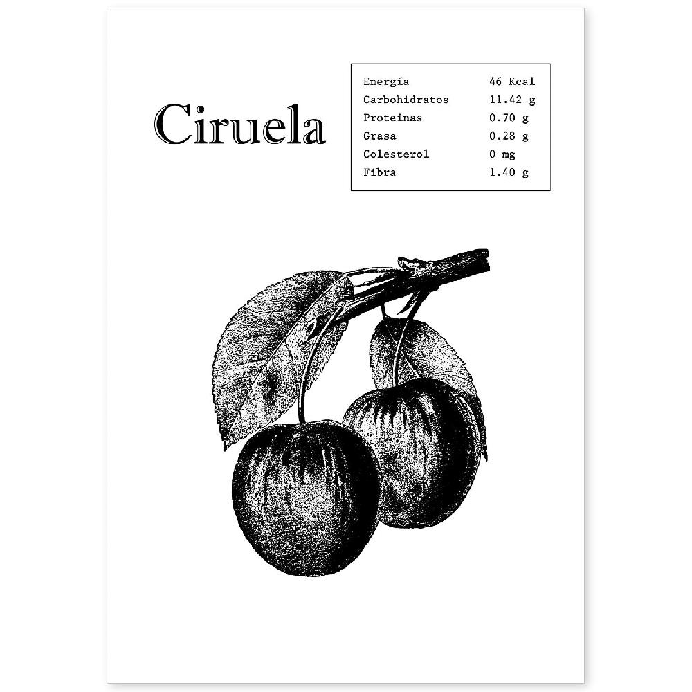nacnic Lámina de Ciruela