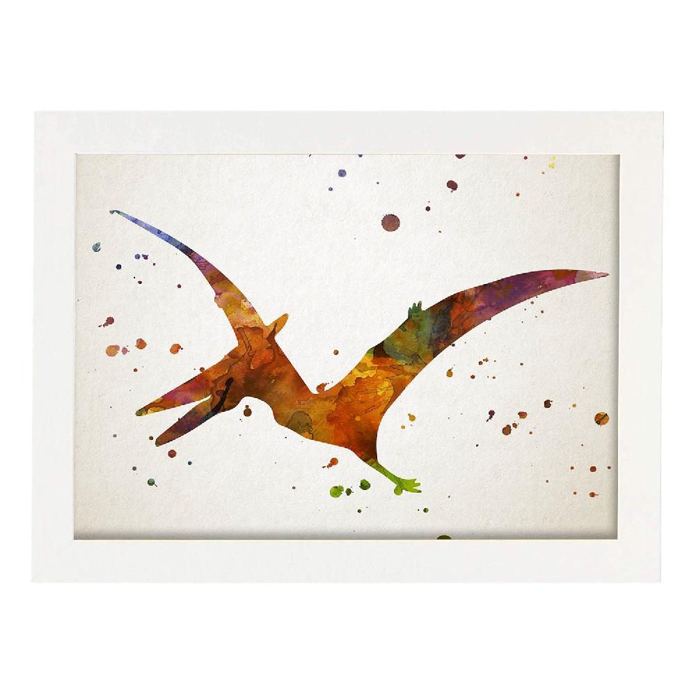 Nacnic Lámina De Criorhynchus En Acuarela