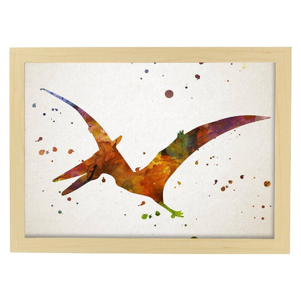 Nacnic Lámina De Criorhynchus En Acuarela