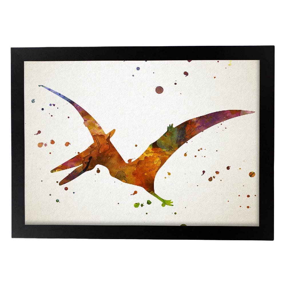 Nacnic Lámina De Criorhynchus En Acuarela