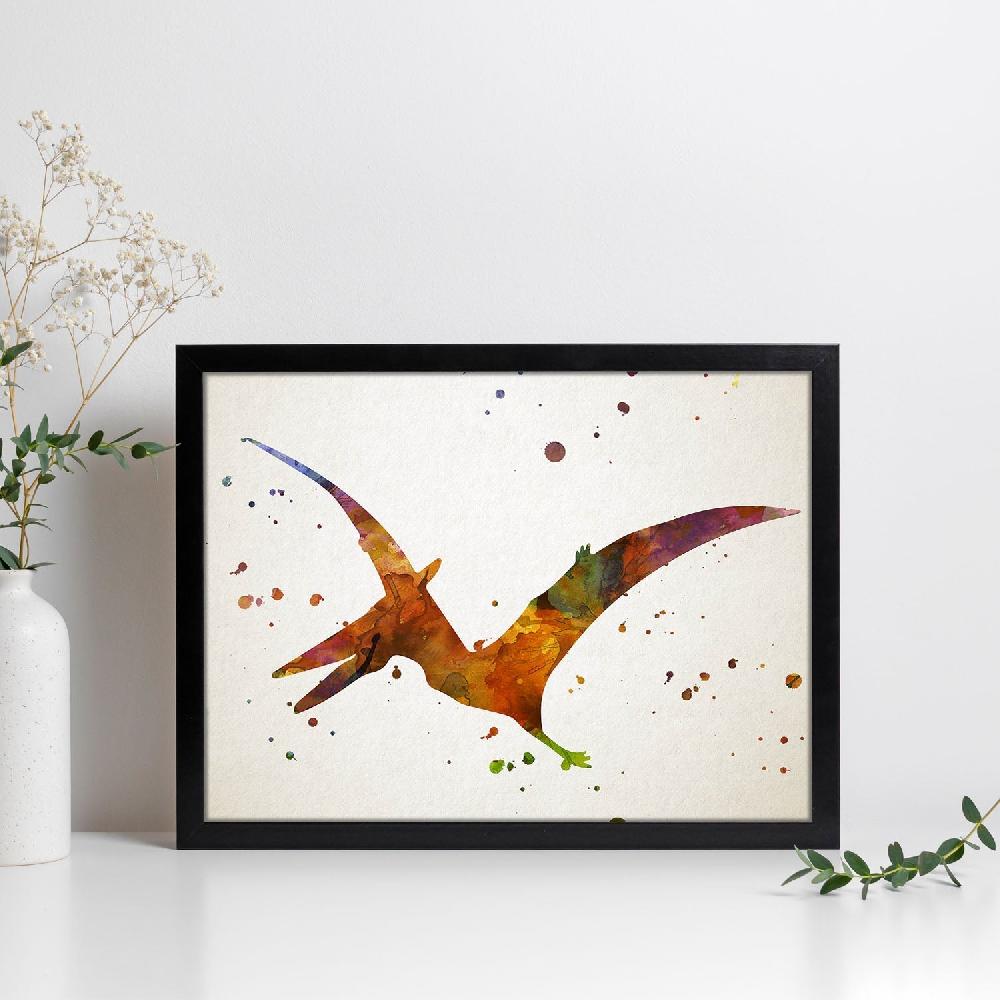 nacnic Lámina de Criorhynchus en acuarela
