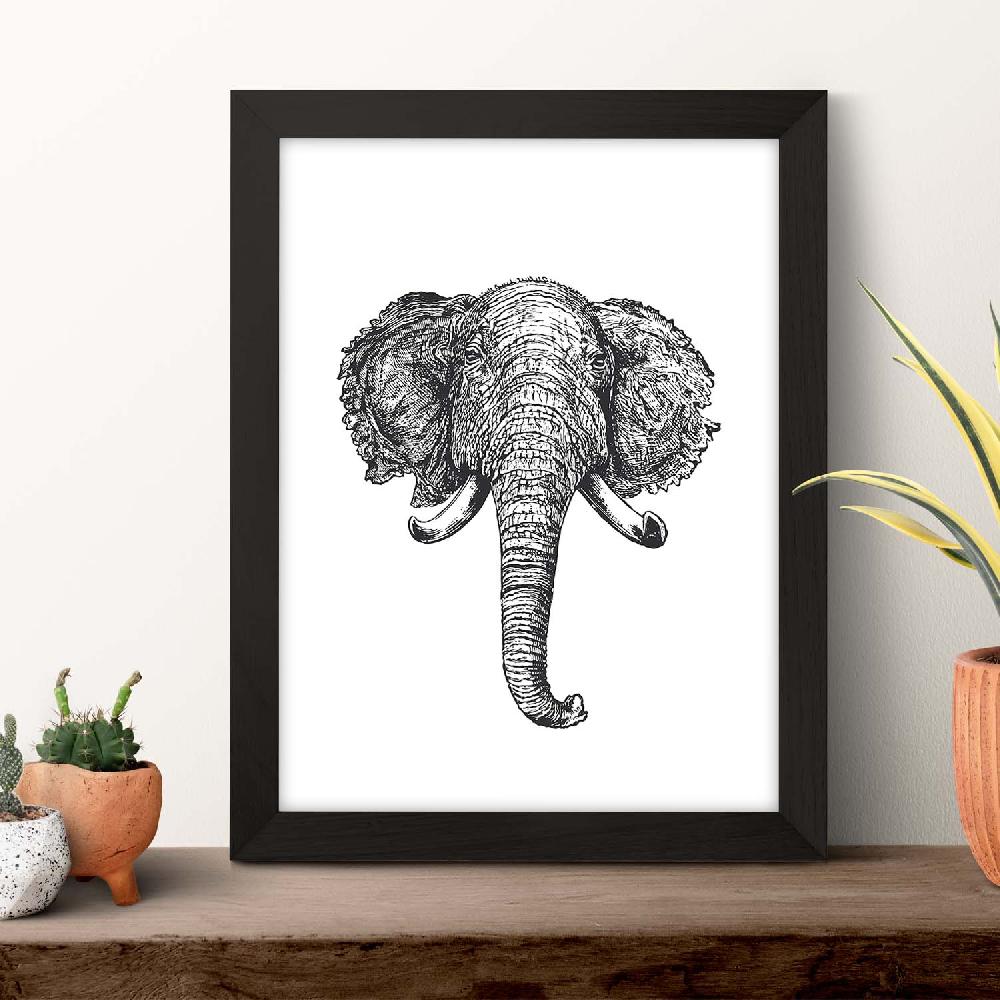 Nacnic Lámina De Elefante En Blanco Y Negro