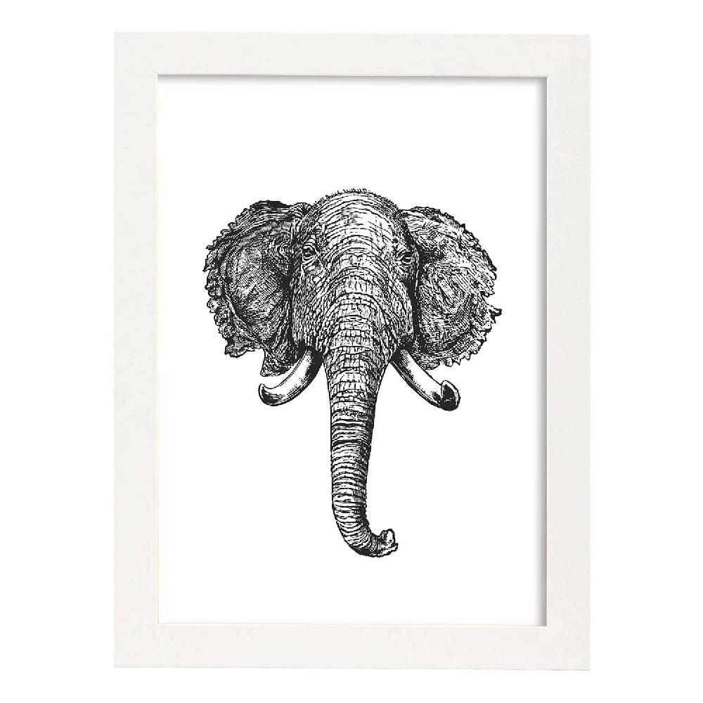 Nacnic Lámina De Elefante En Blanco Y Negro