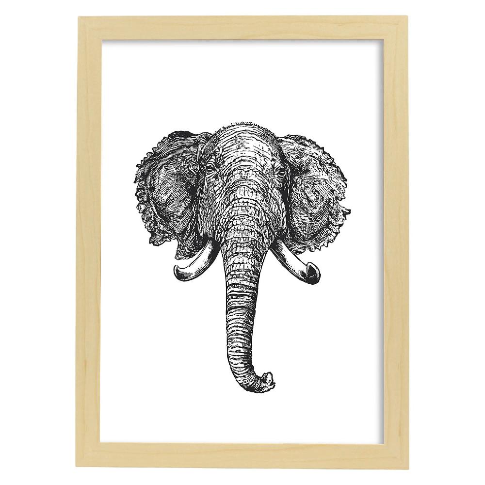 Nacnic Lámina De Elefante En Blanco Y Negro