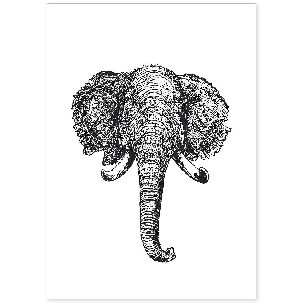 nacnic Lámina de Elefante en Blanco y Negro