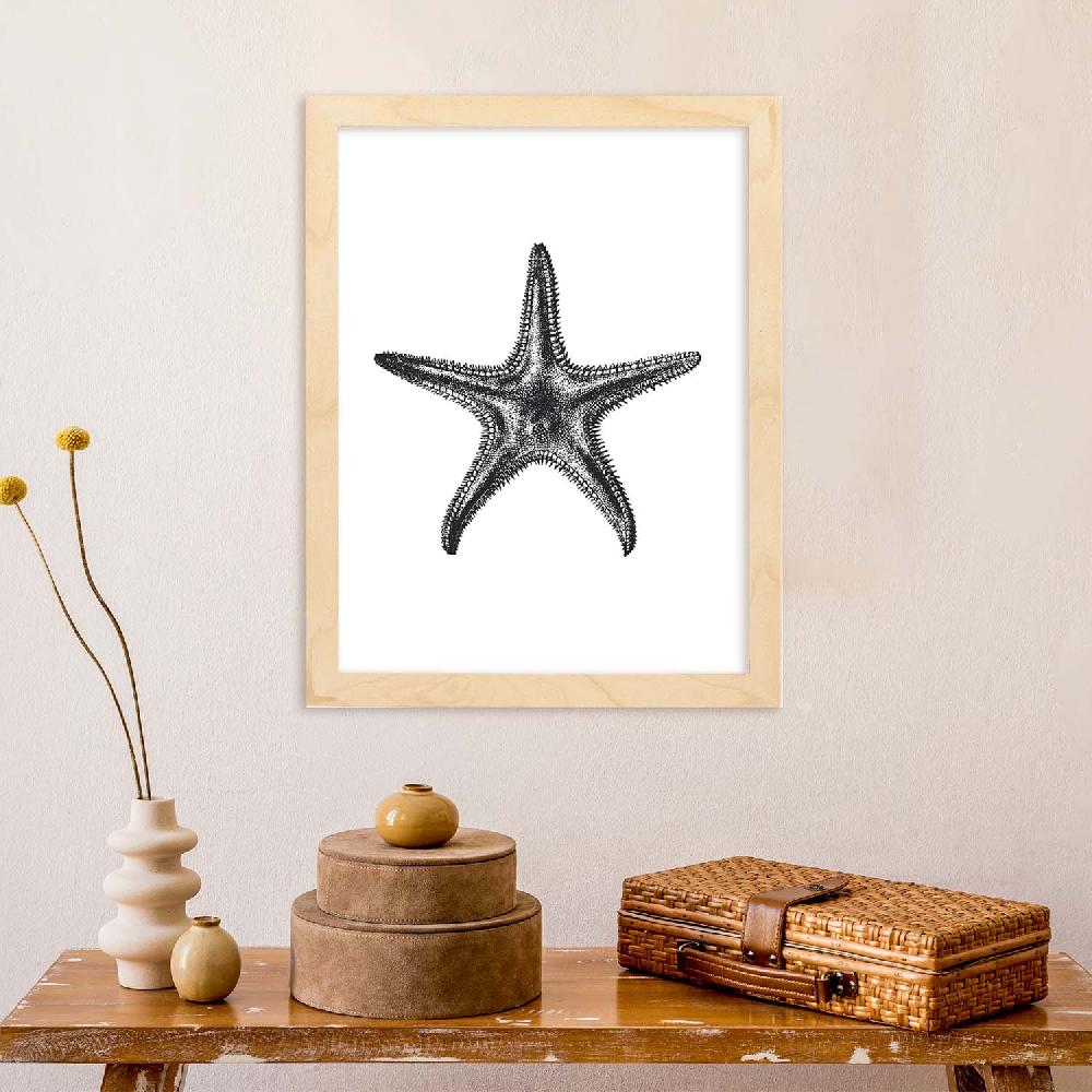 Nacnic Lámina De Estrella De Mar En Blanco Y Negro