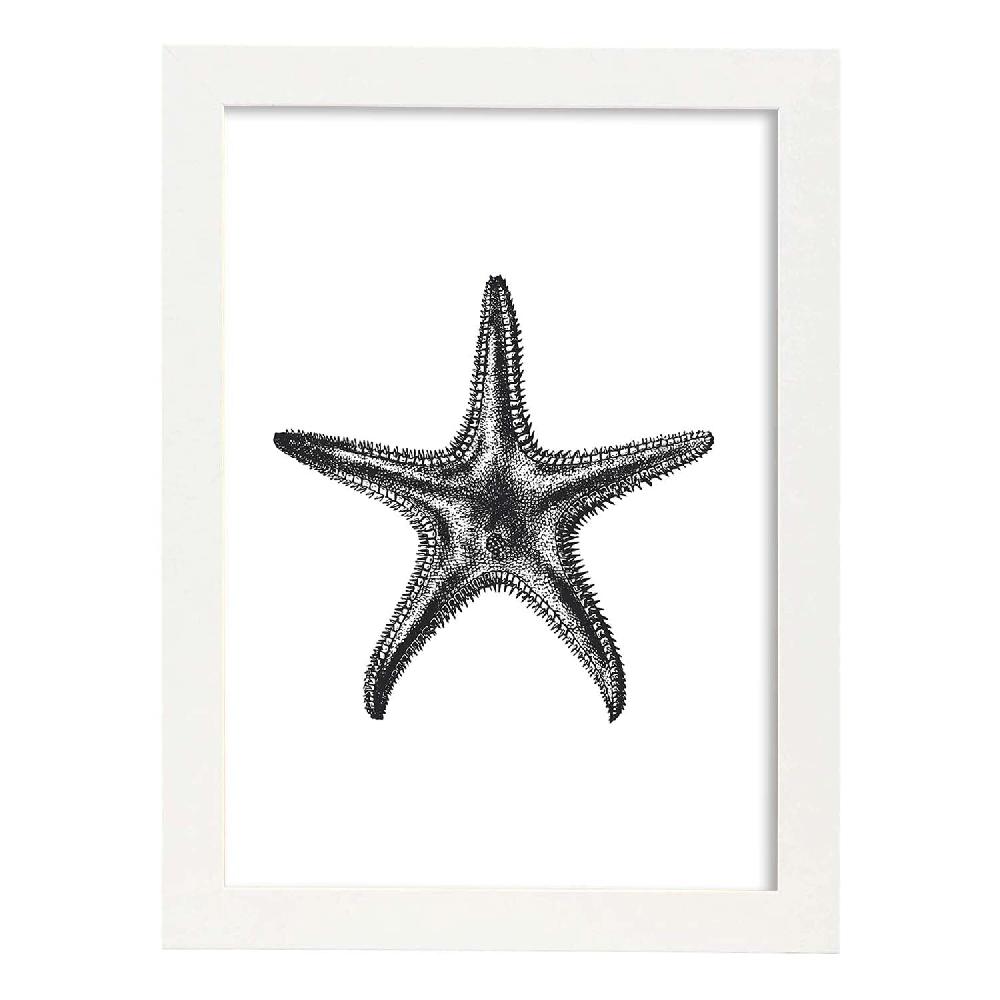 Nacnic Lámina De Estrella De Mar En Blanco Y Negro