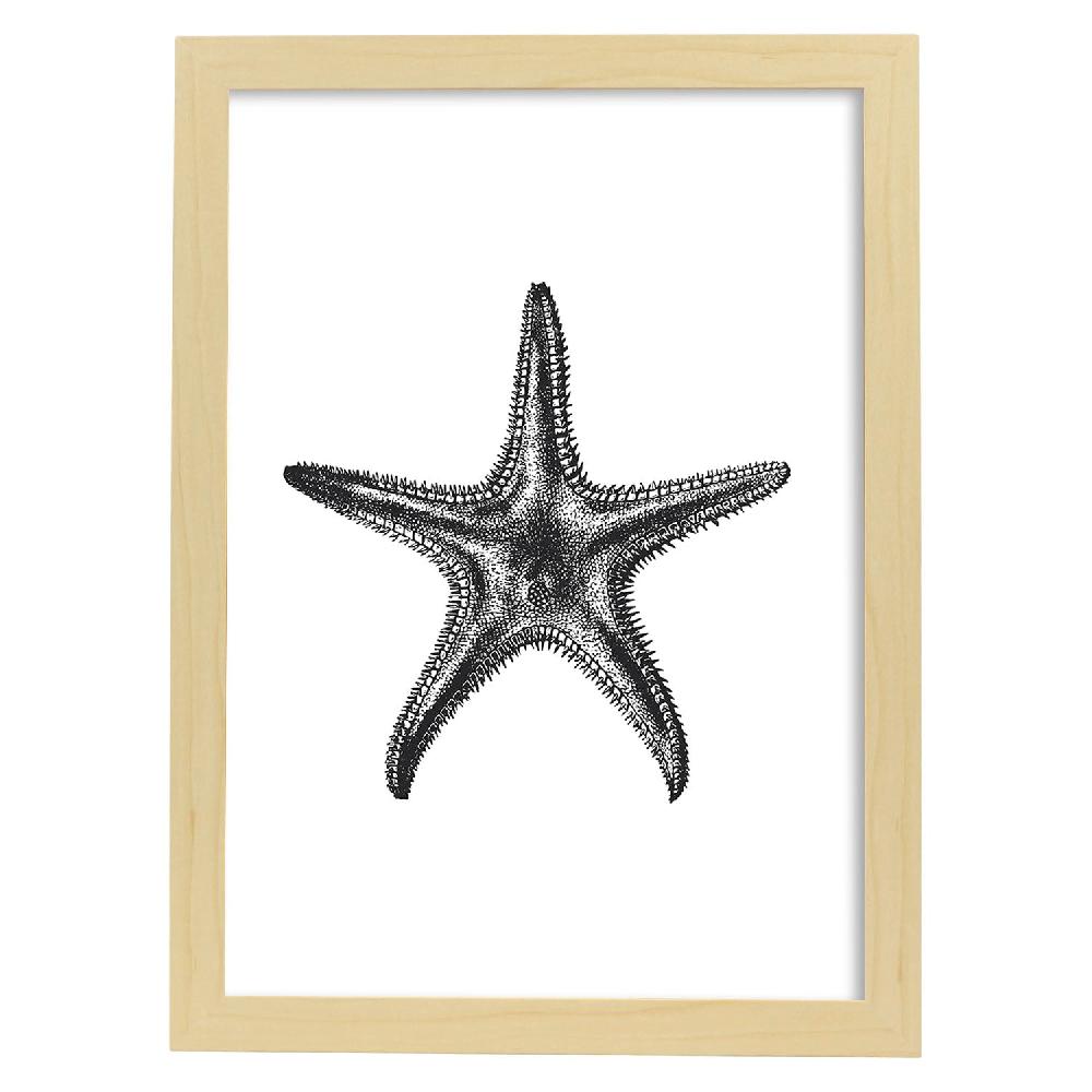 Nacnic Lámina De Estrella De Mar En Blanco Y Negro