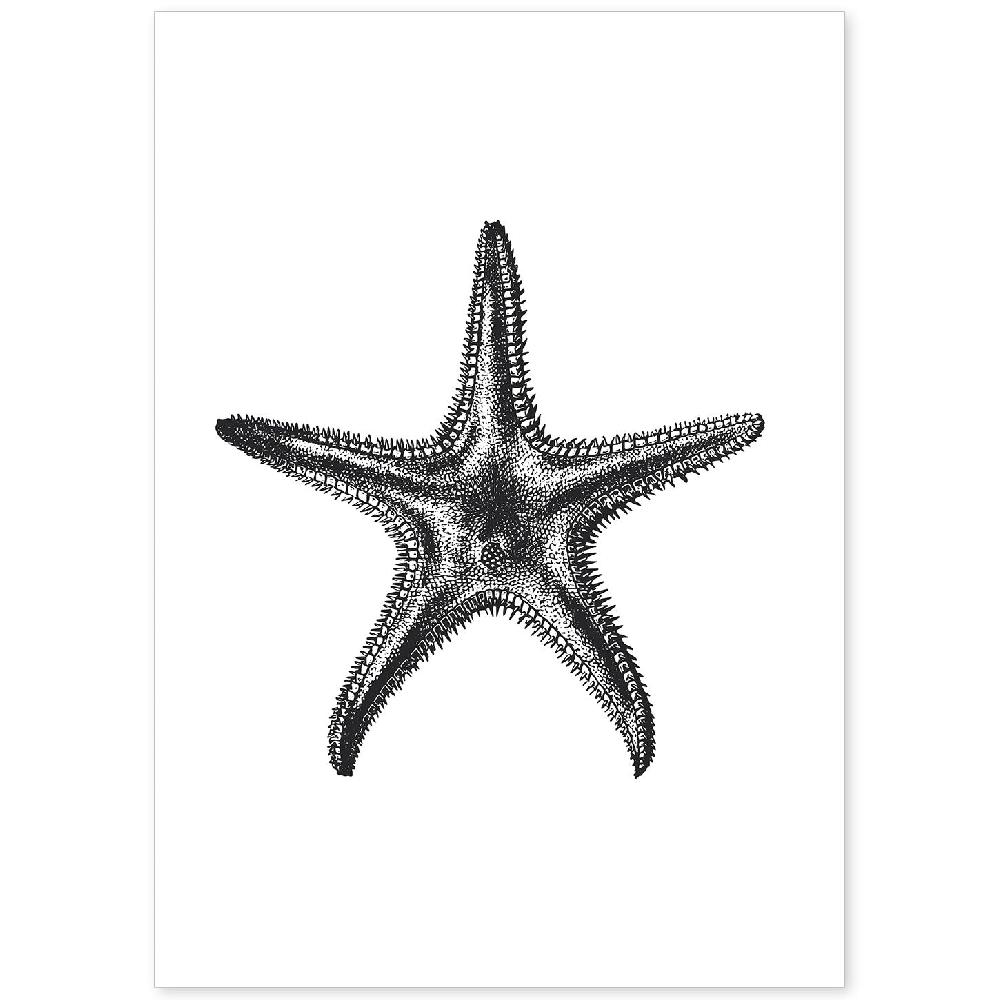 nacnic Lámina de Estrella de Mar en Blanco y Negro