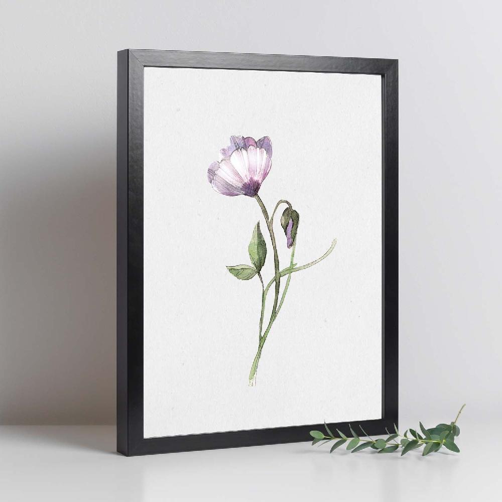 Nacnic Lámina De Flores Y Plantas Con Estilo Óleo