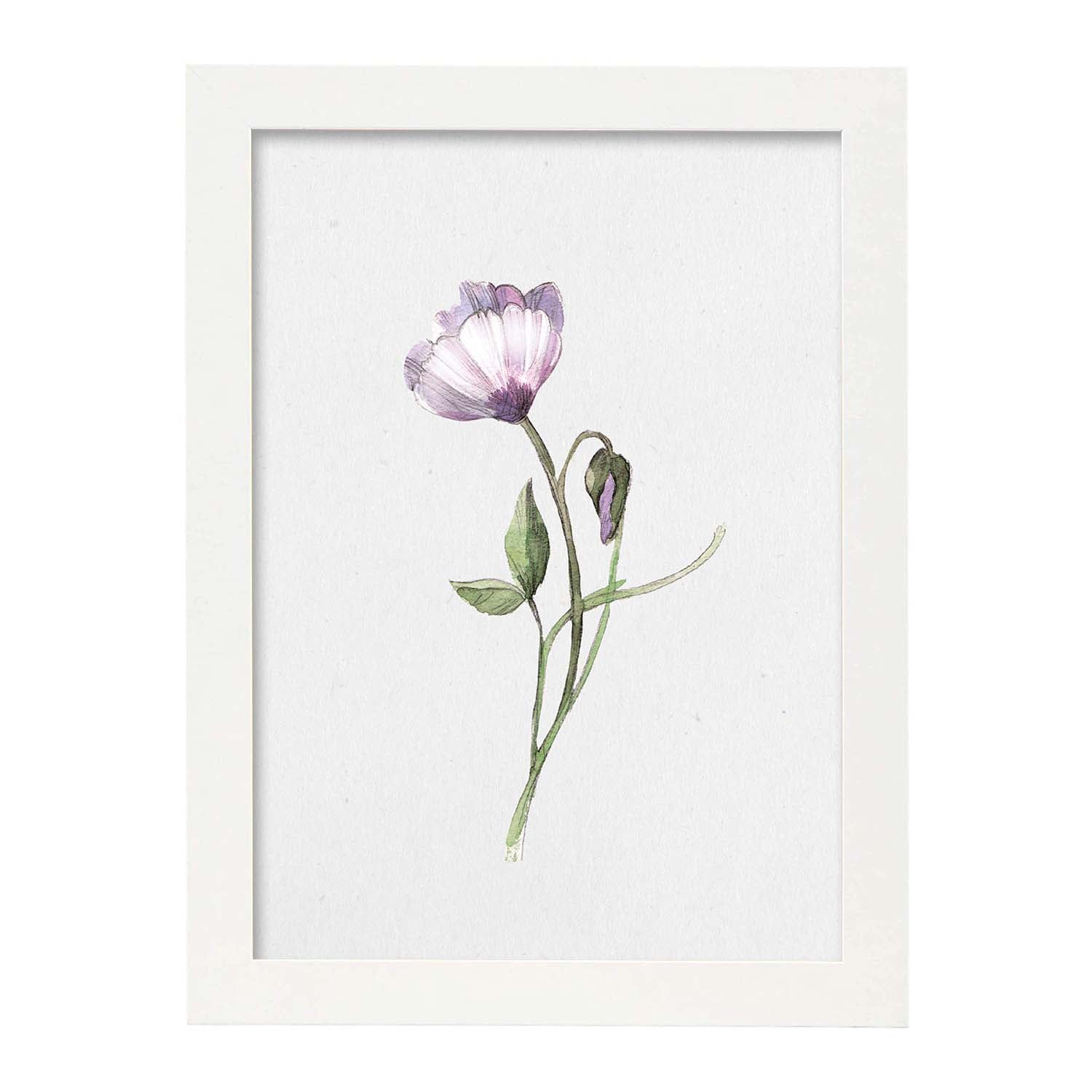 Nacnic Lámina De Flores Y Plantas Con Estilo Óleo