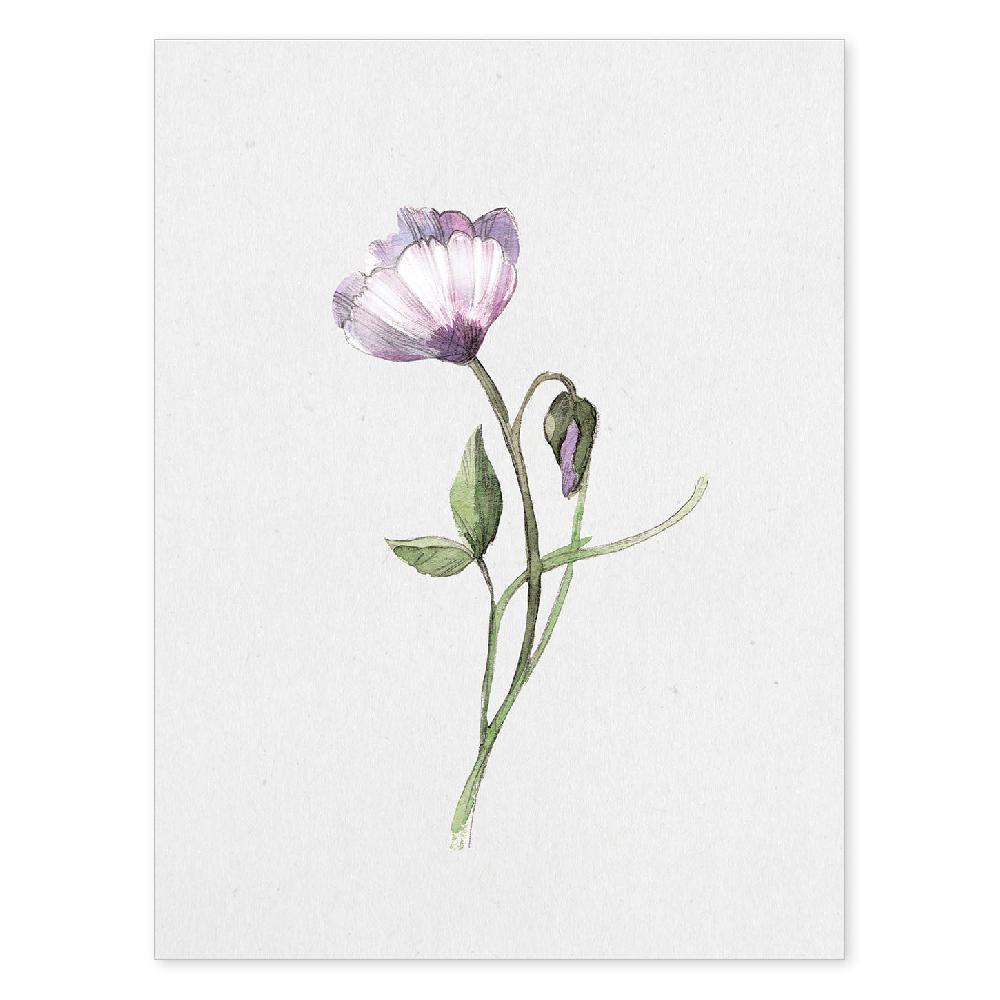 nacnic Lámina de Flores y Plantas con Estilo Óleo