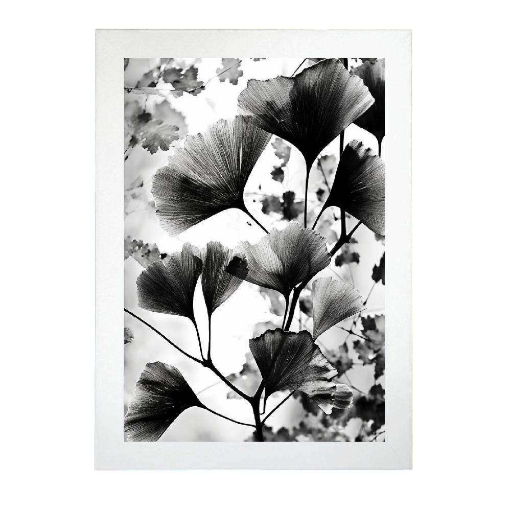 Nacnic Lámina De Gingko Biloba Vintage En Negro