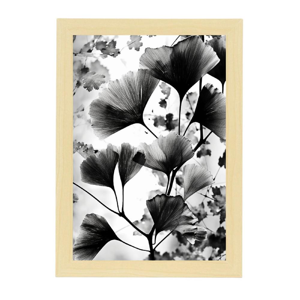 Nacnic Lámina De Gingko Biloba Vintage En Negro