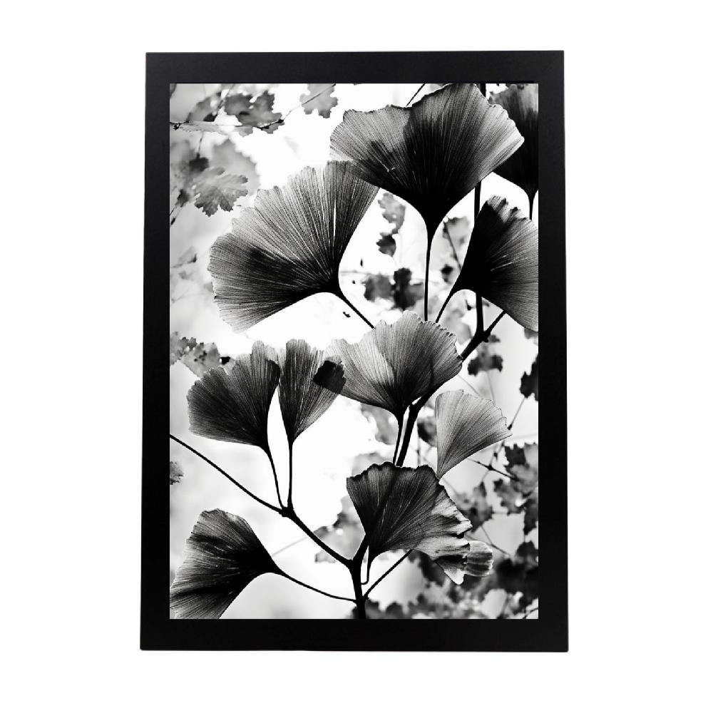 nacnic Lámina de Gingko Biloba Vintage en Negro