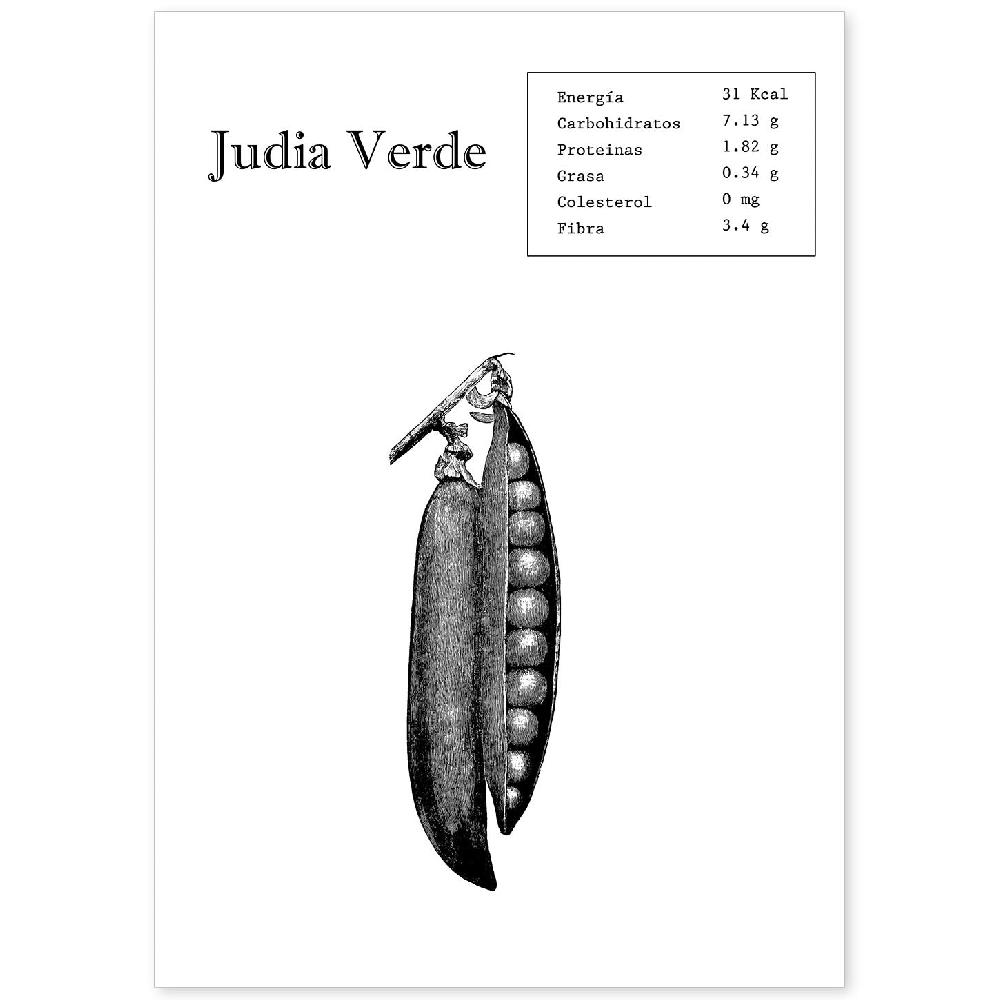 nacnic Lámina de Judia Verde