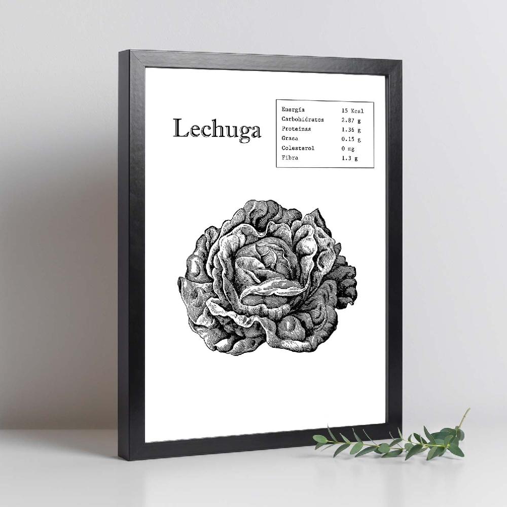 Nacnic Lámina De Lechuga