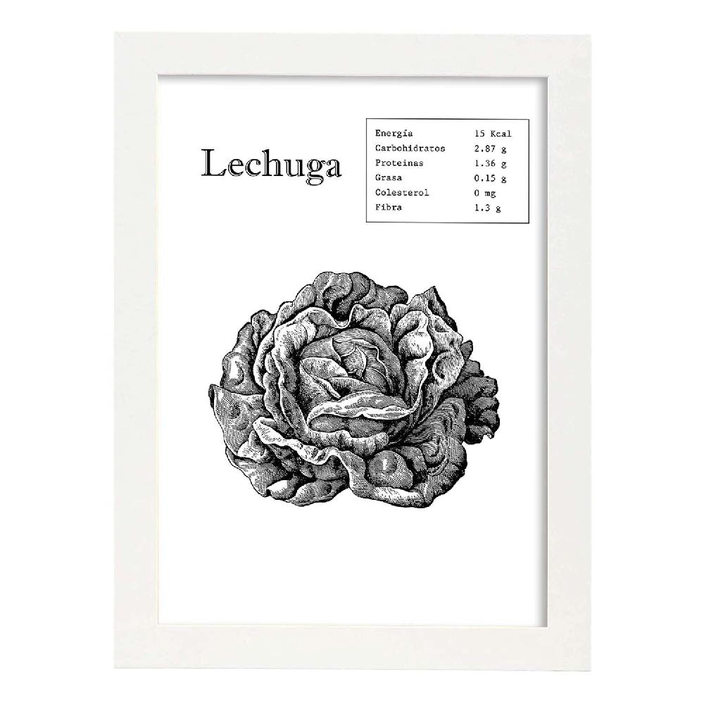 Nacnic Lámina De Lechuga