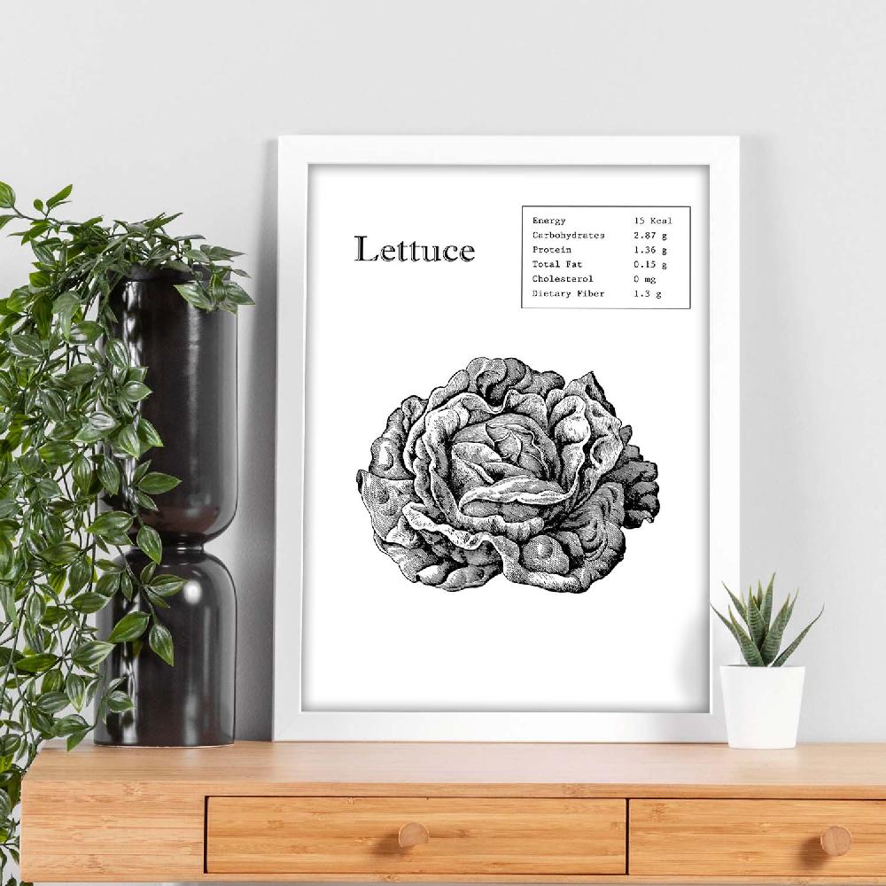 Nacnic Lámina De Lechuga En Inglés
