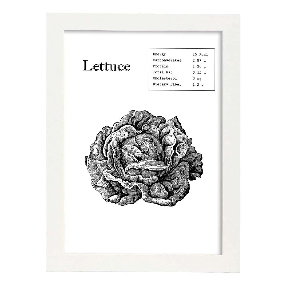 Nacnic Lámina De Lechuga En Inglés