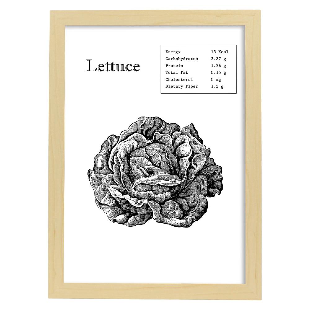 Nacnic Lámina De Lechuga En Inglés