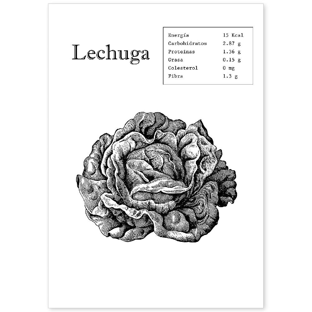 nacnic Lámina de Lechuga