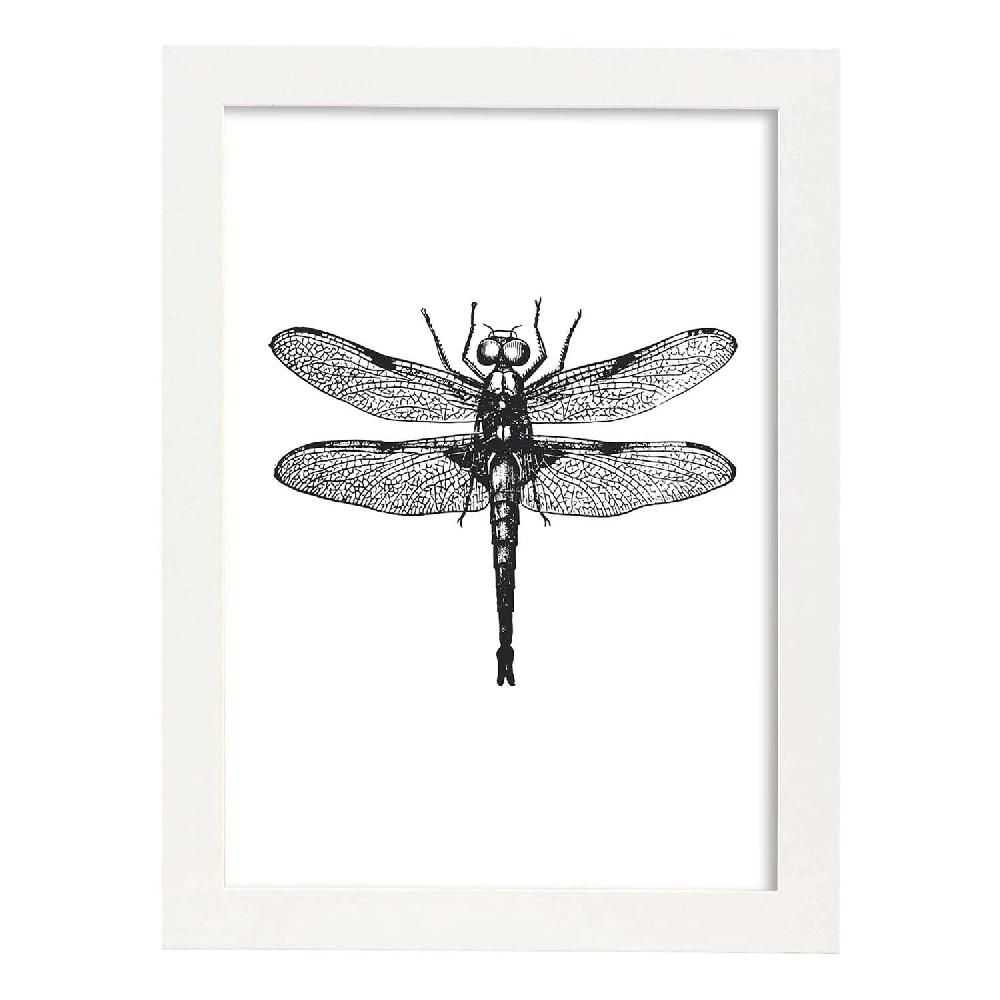 Nacnic Lámina De Libelula En Blanco Y Negro