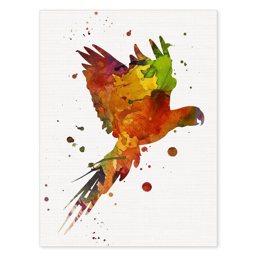 nacnic Lámina de Loro en Acuarela