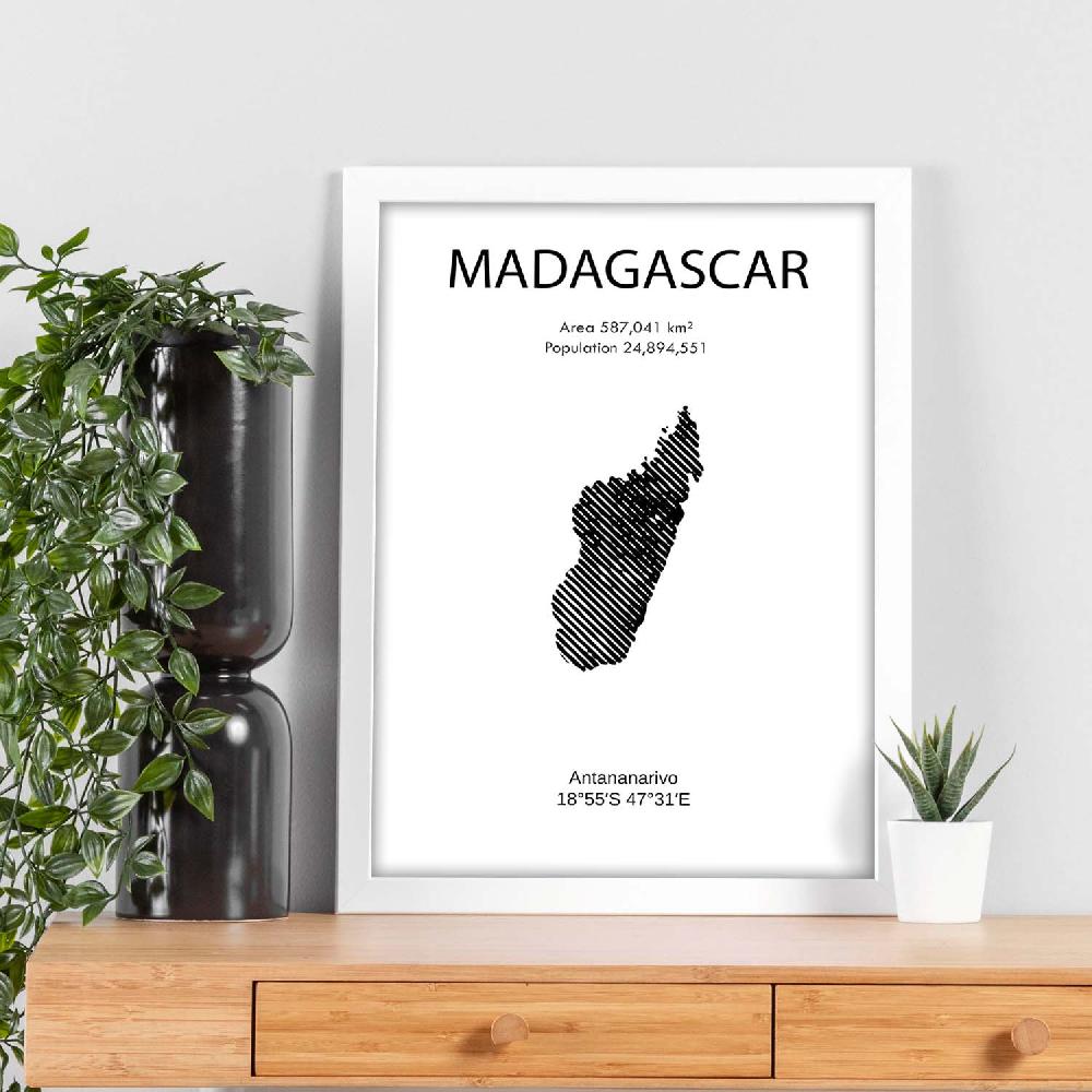Nacnic Lámina De Madagascar