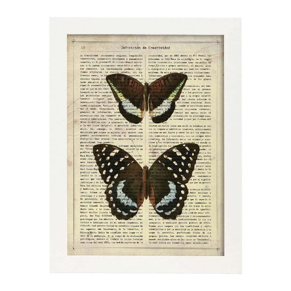 Nacnic Lámina De Mariposa Lexias