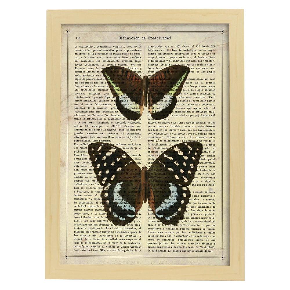 Nacnic Lámina De Mariposa Lexias
