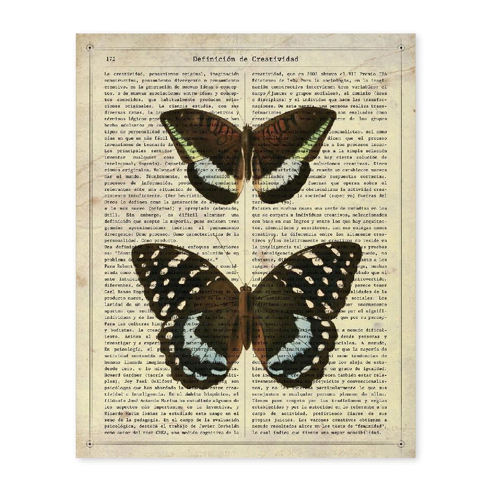 nacnic Lámina de Mariposa Lexias