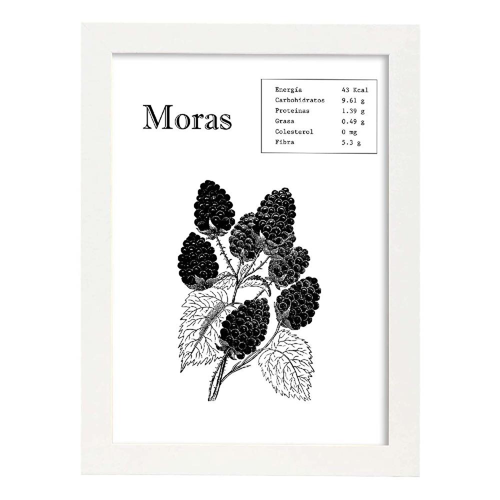 Nacnic Lámina De Moras