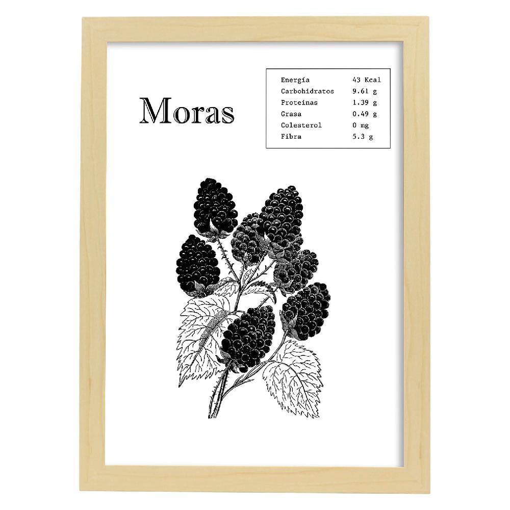 Nacnic Lámina De Moras
