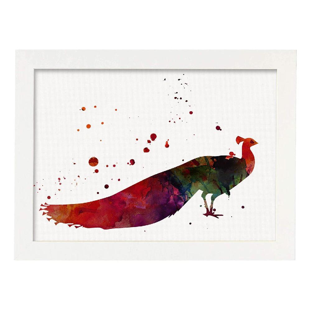 Nacnic Lámina De Pavo Real En Acuarela