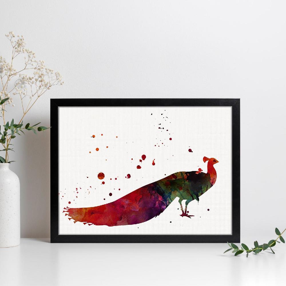 nacnic Lámina de Pavo Real en Acuarela