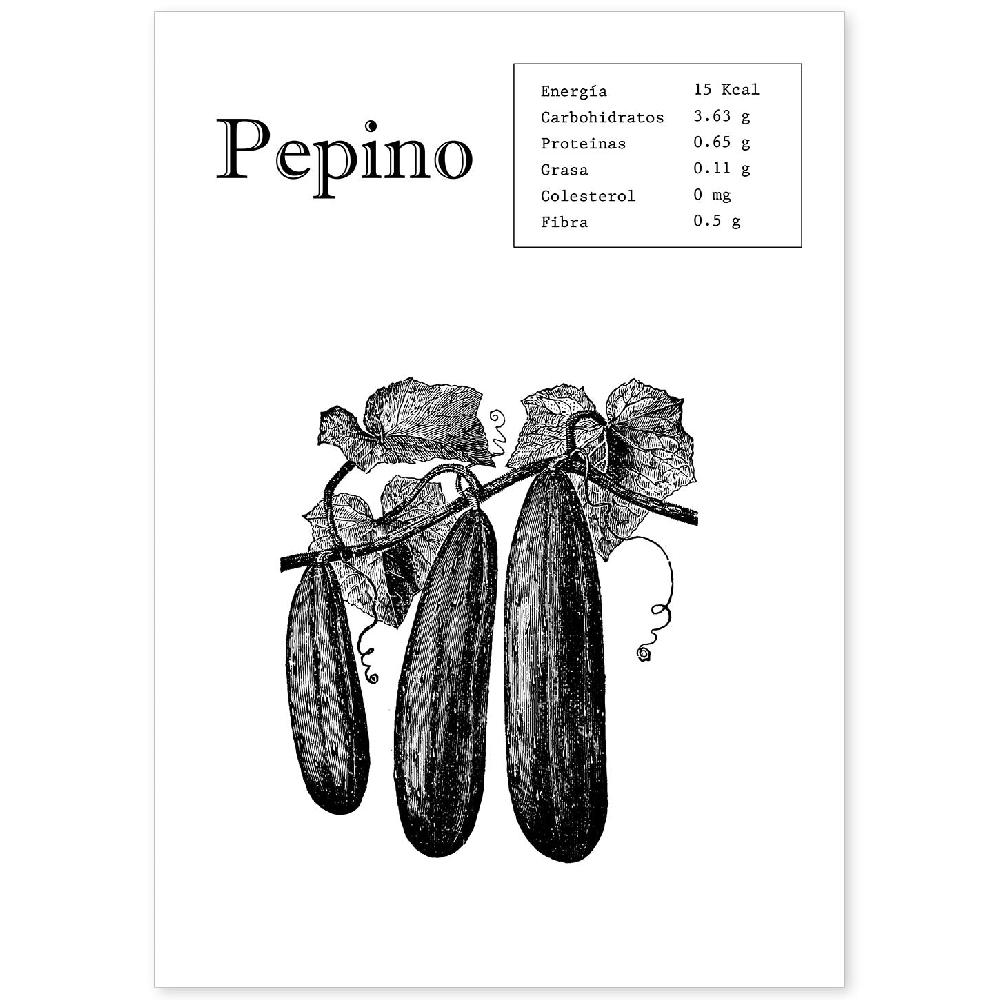 nacnic Lámina de Pepino