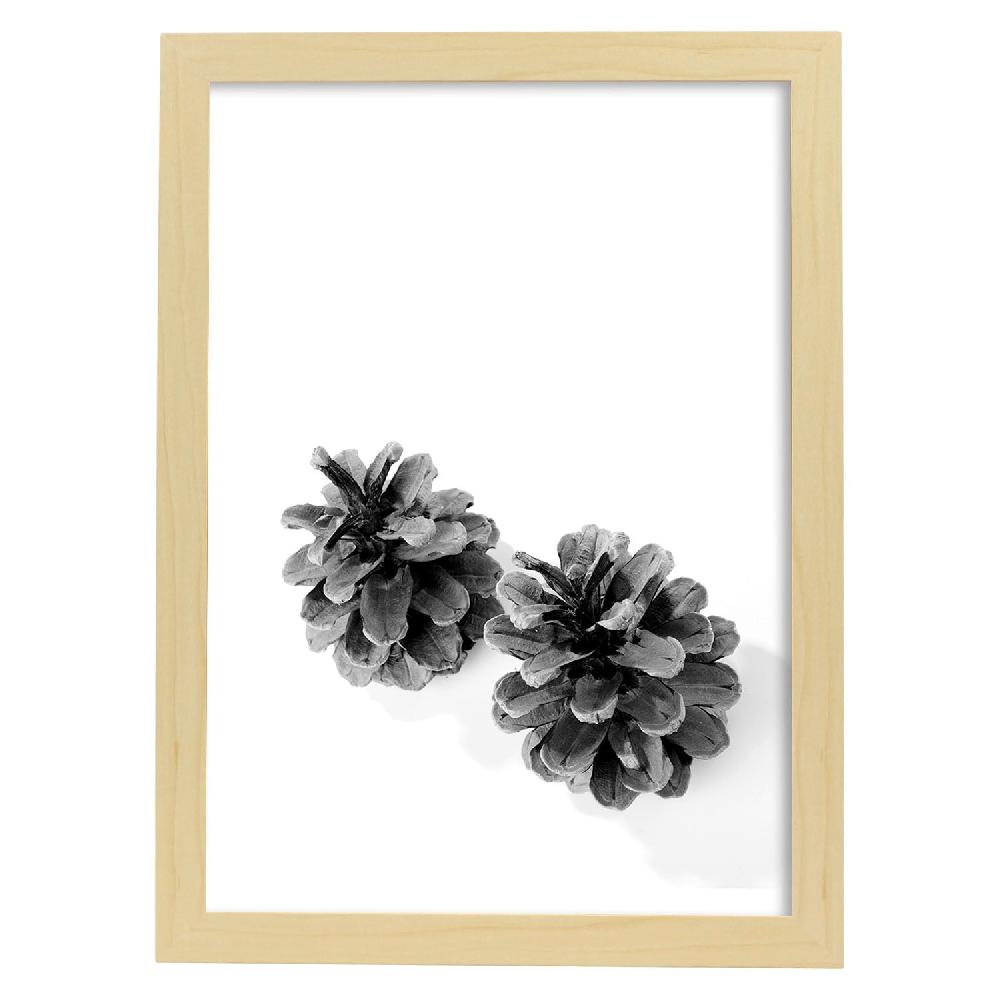 Nacnic Lámina De Piñas De Pino En Blanco Y Negro