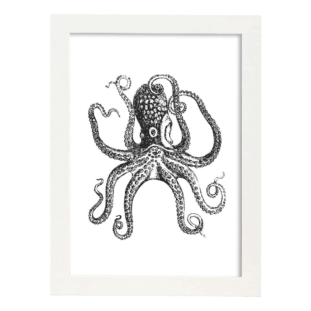 Nacnic Lámina De Pulpo En Blanco Y Negro