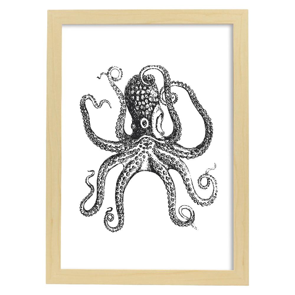 Nacnic Lámina De Pulpo En Blanco Y Negro