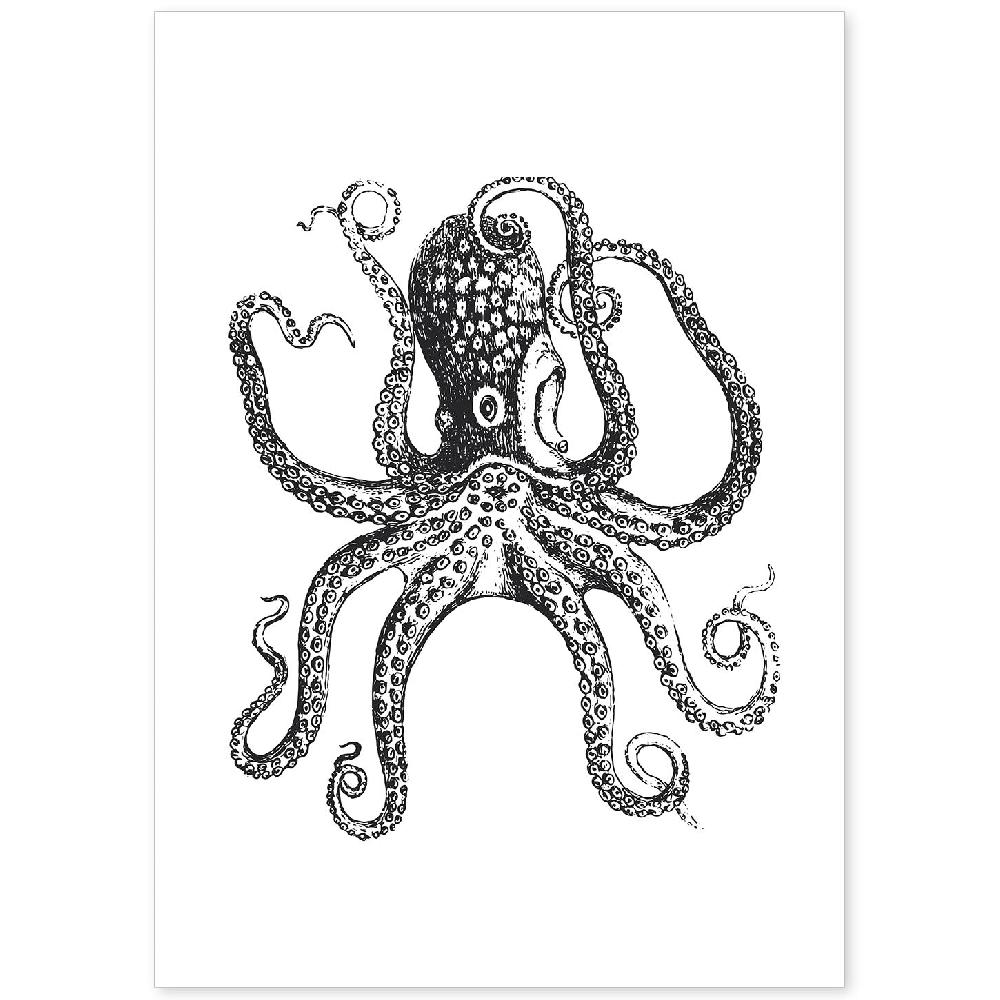 nacnic Lámina de Pulpo en Blanco y Negro