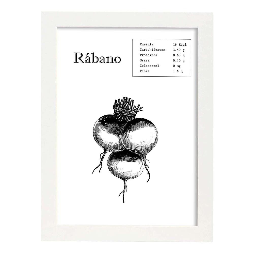 Nacnic Lámina De Rábano