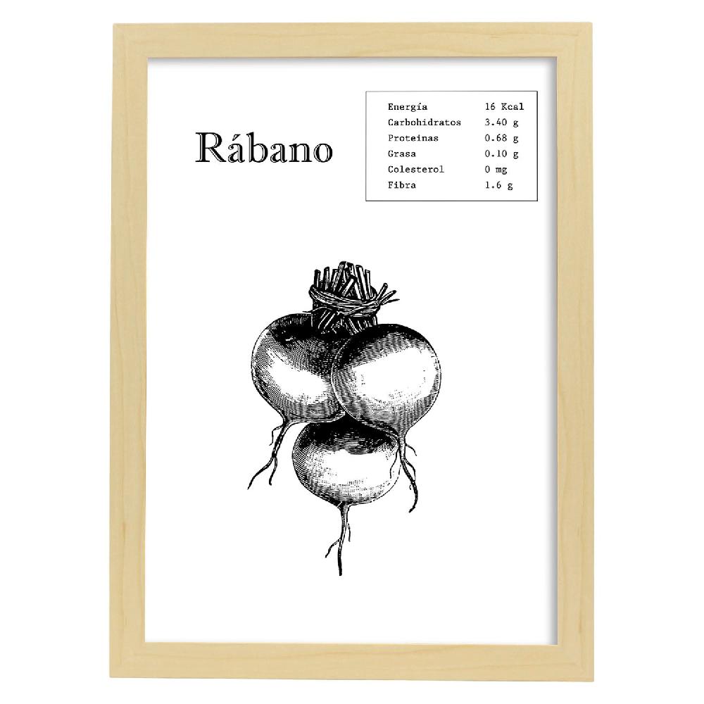 Nacnic Lámina De Rábano