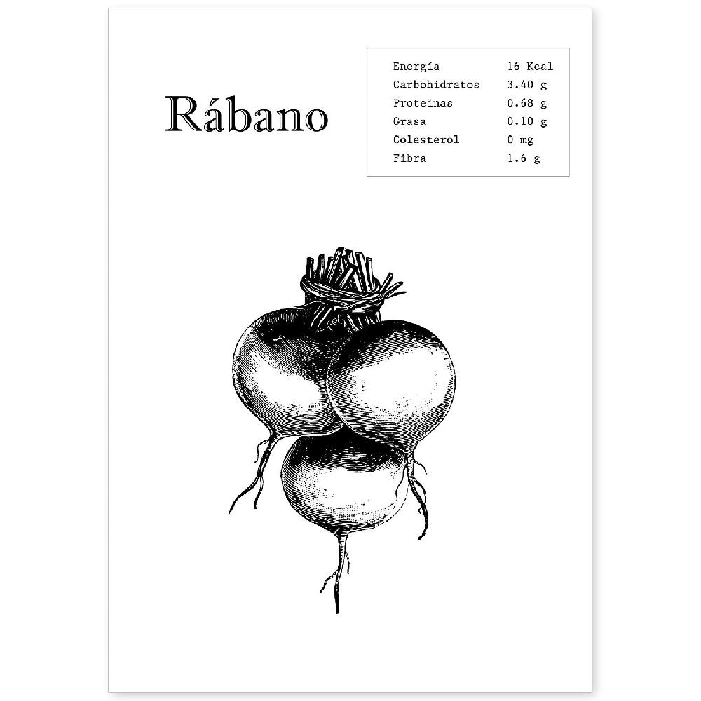 nacnic Lámina de Rábano
