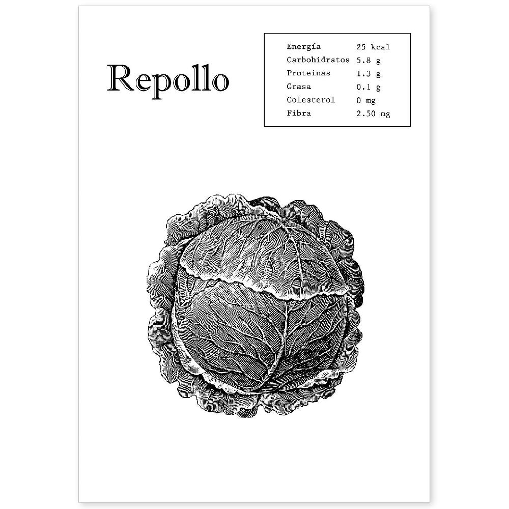 nacnic Lámina de Repollo