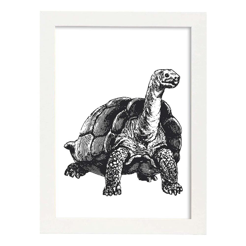 Nacnic Lámina De Tortuga En Blanco Y Negro