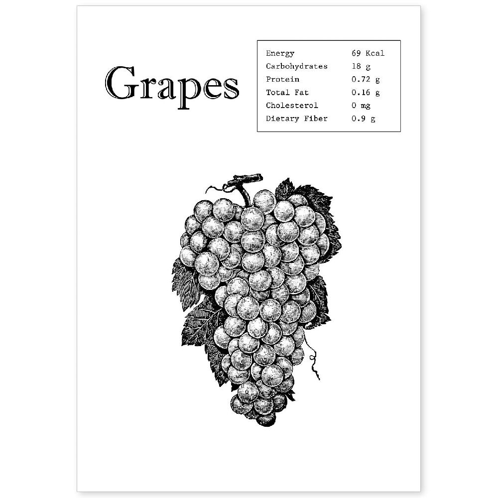 nacnic Lámina de Uvas en Inglés