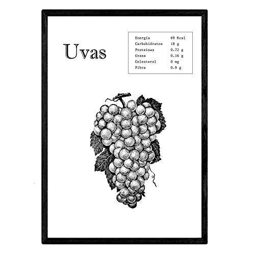 nacnic Lámina de Uvas
