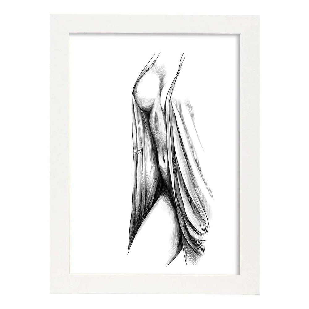 Nacnic Lámina Erótica De Cuerpo Femenino