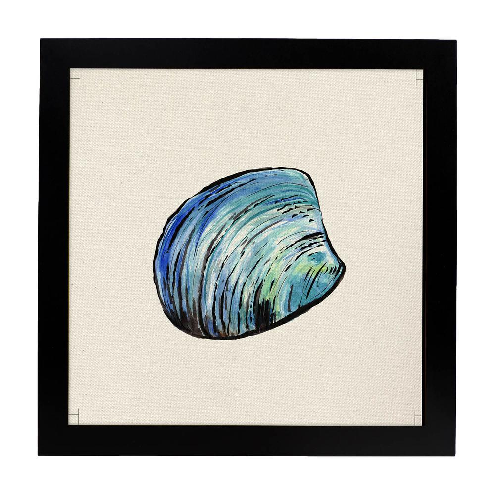 Nacnic Lámina Ilustrada Concha Del Mar